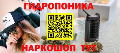 2c-b Новозыбков