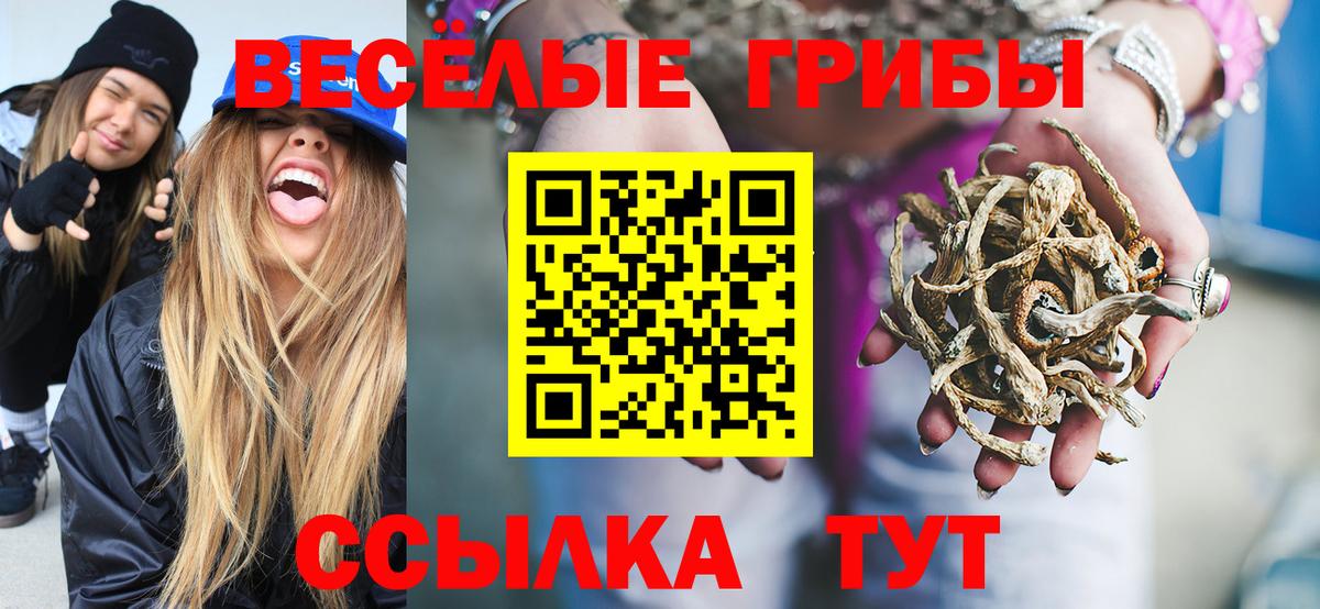 Псилоцибиновые грибы прущие грибы Среднеуральск