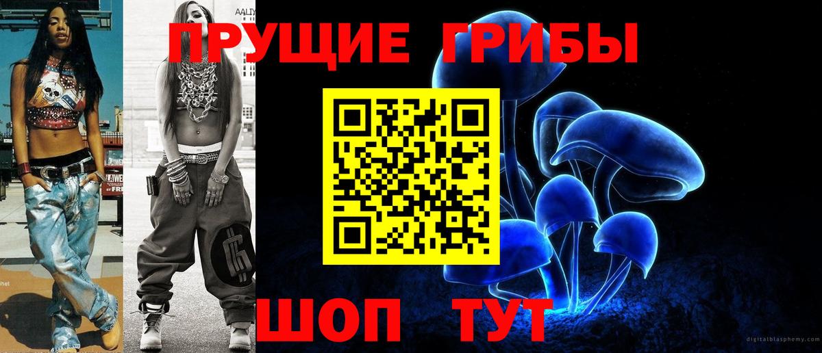 Среднеуральск  Псилоцибиновые грибы Psilocybine cubensis  Вход с VPN 